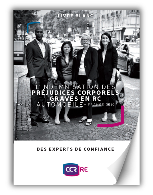 Image couverture livre blanc RC auto FR-1